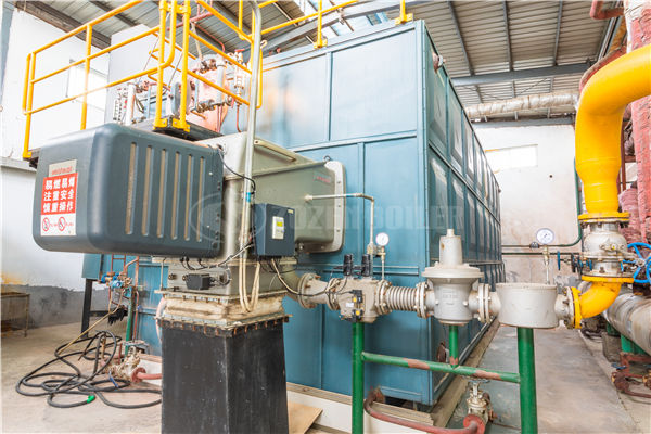 工業(yè)蒸汽鍋爐