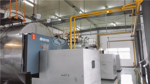 導(dǎo)熱油鍋爐溫度