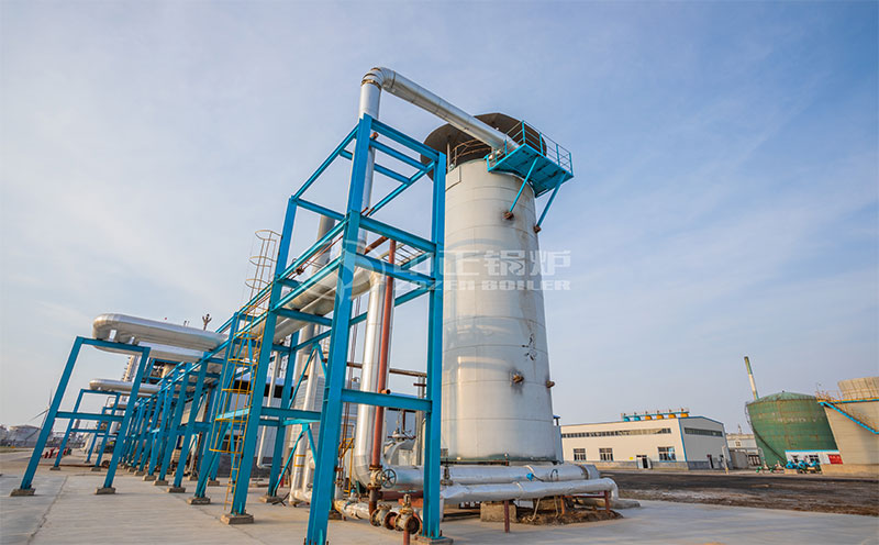 沼氣蒸汽鍋爐型號客戶案例圖片