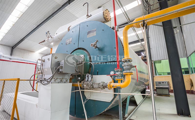 天然氣蒸汽鍋爐價格客戶案例圖片