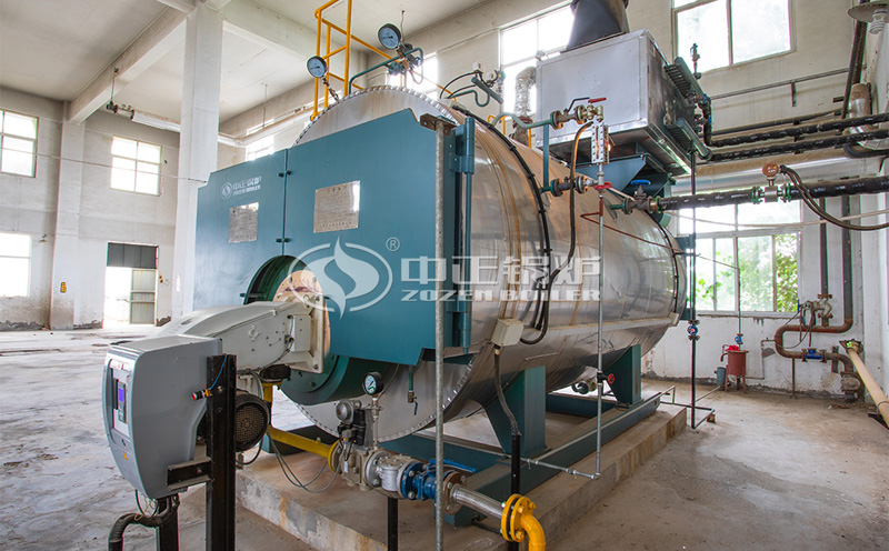 沼氣蒸汽鍋爐型號客戶案例圖片