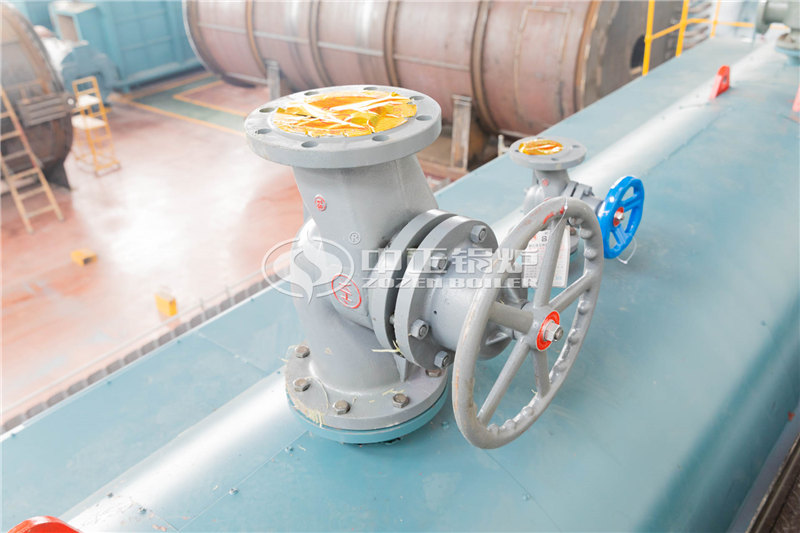 小型燃?xì)庹羝麪t廠