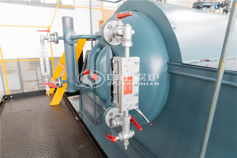 二十噸天然氣蒸汽鍋爐大廠(chǎng)
